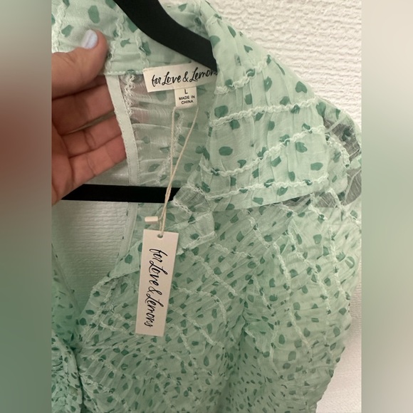 For Love & Lemons Mint Green Sheer Dress - Picture 9 of 10